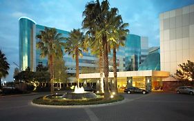 サザン サン Or タンボ インターナショナル エアポート